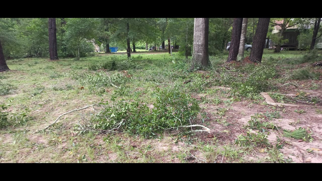 Hurricane Beryl Storm Damage Photographs