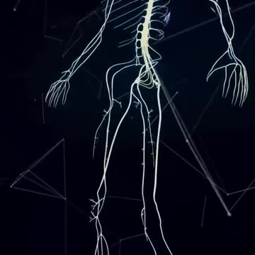 Everything about they have ever told us is a lie.