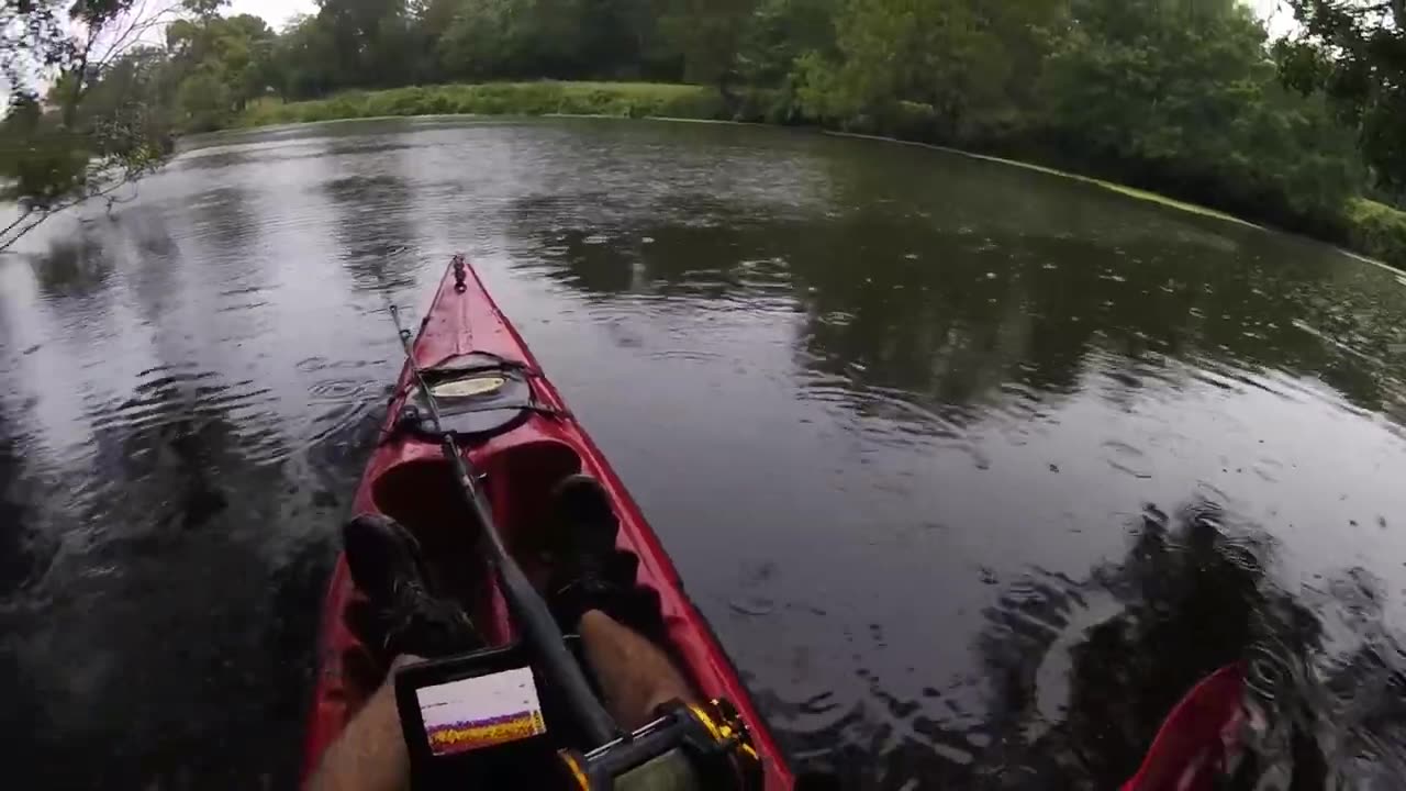 JE PECHE LE SILURE AVEC UN ABONNE!