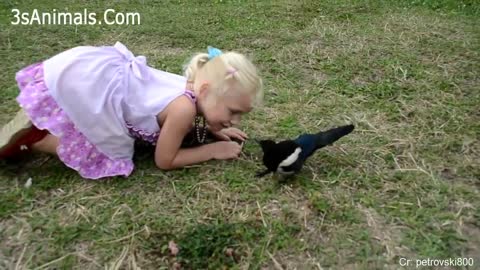 Funny parrots with kids Video