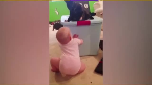 Cute Cats and Babies Playing Together Videos Compilation NEW!!!