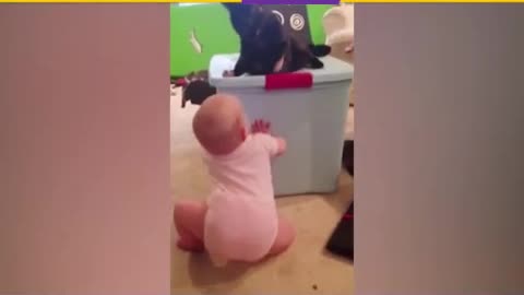 Cute Cats and Babies Playing Together Videos Compilation NEW!!!