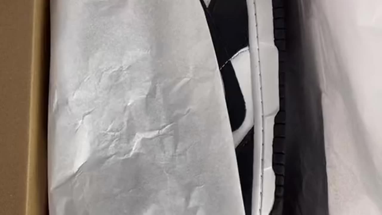 Unboxing the Nike Dunk Low White Black