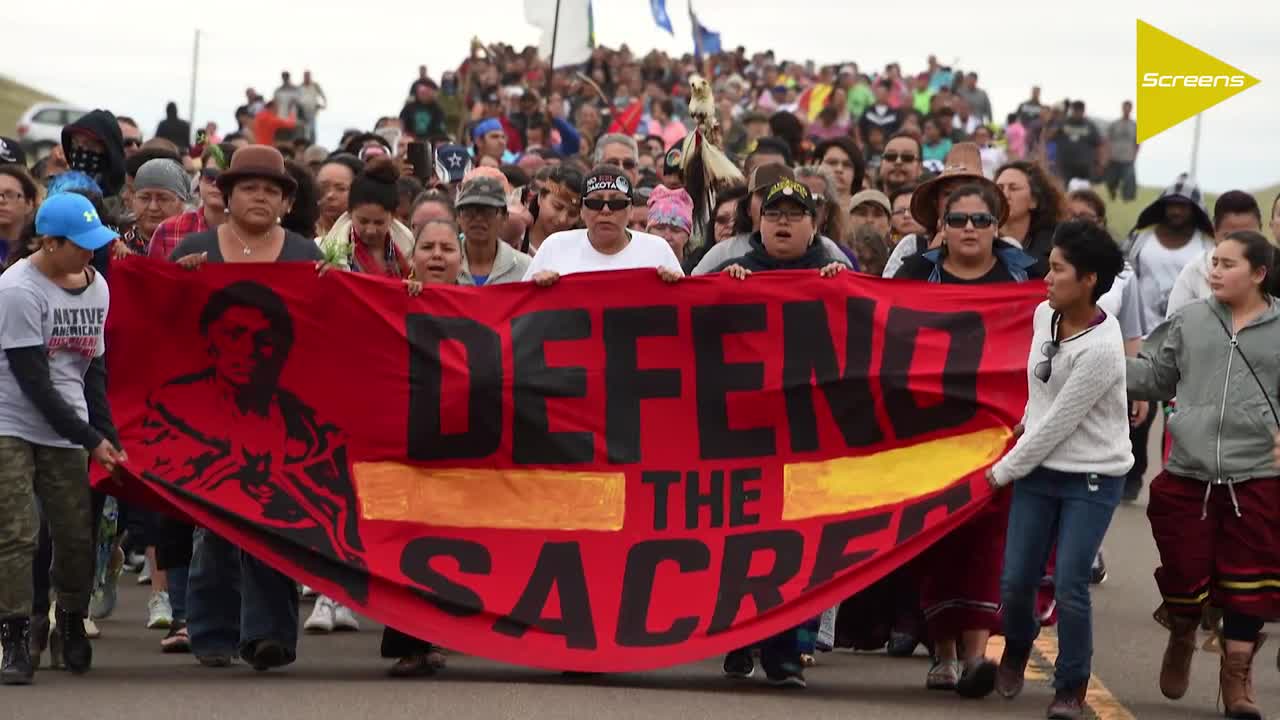 Shailene Woodley arrested for protesting Dakota Access Pipeline