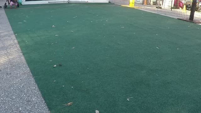 Gulfport get rescued #4