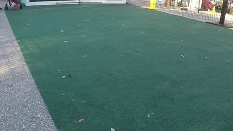 Gulfport get rescued #4