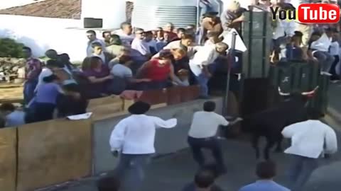 Best funny videos - Most awesome bullfighting festival funny crazy bull fails