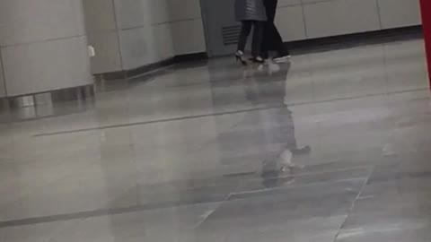 A couple ballroom dances on subway platform