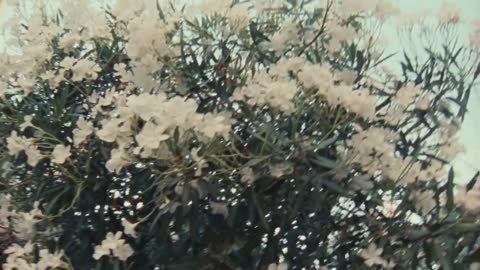 The Chanel Summer Tour