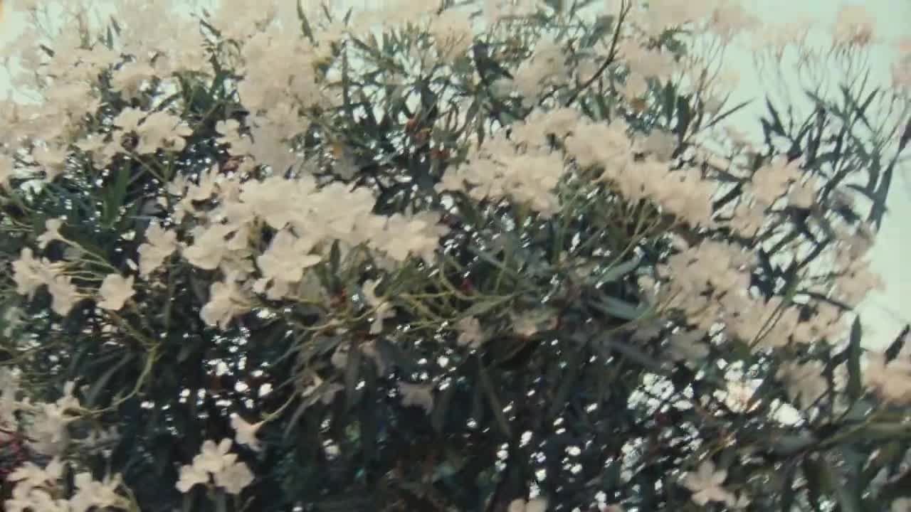 The Chanel Summer Tour