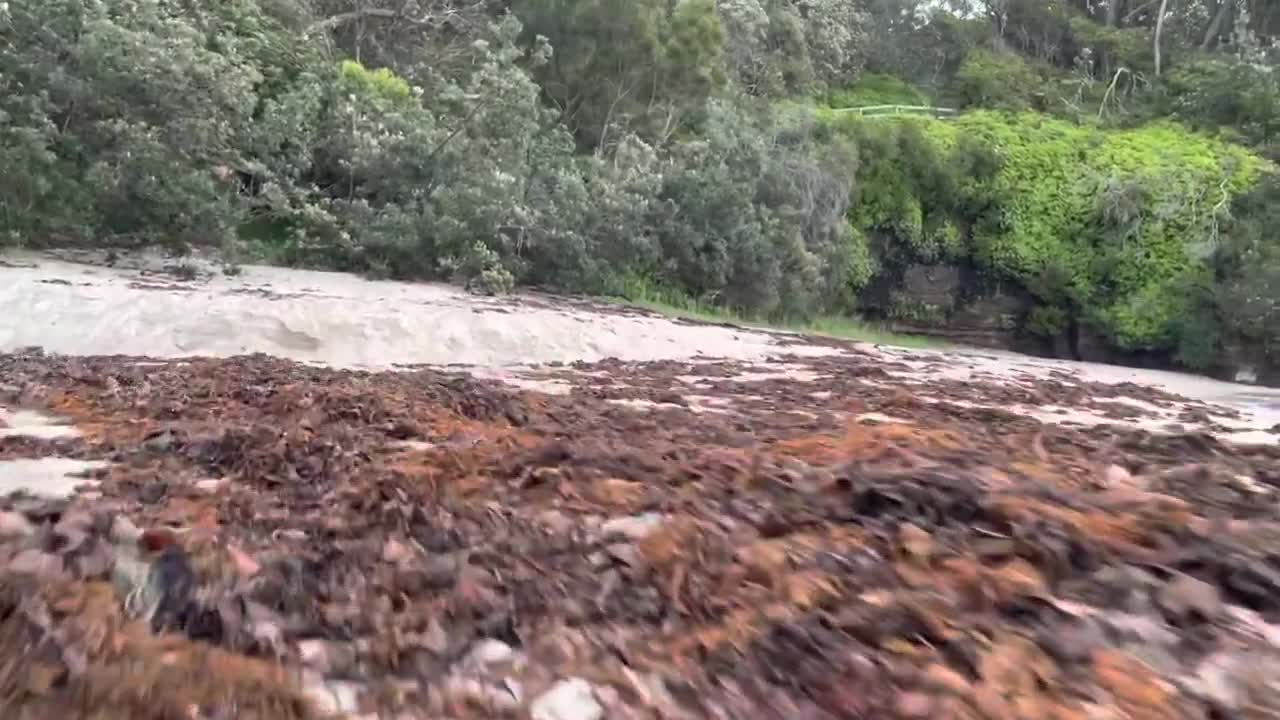 Ulladulla beach (12-1-21)