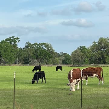 How do you want to live