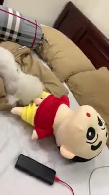 Oh no, what did this dog do to this boy. It was pitiful for the boy.