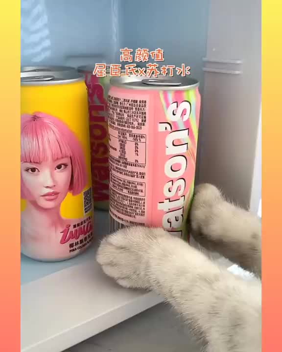 17_ Cute and Funny Cat Videos Compilation _#short