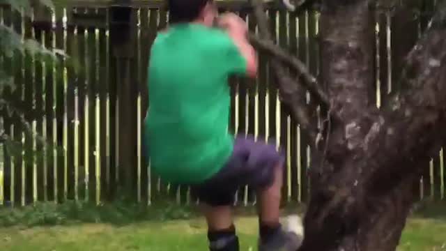 Boy in green breaks tree branch