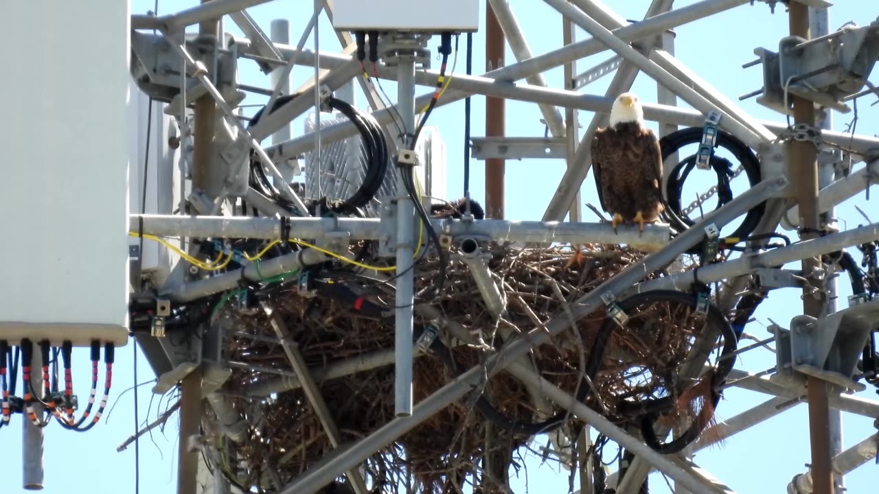 The Eagle Nest at Orbit