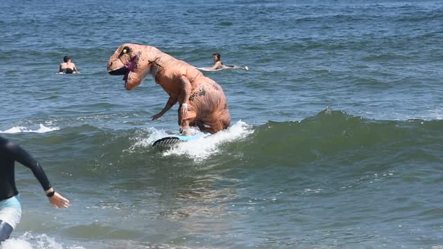 Dinosaur on blue surf board