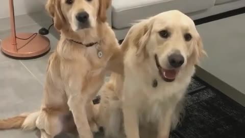Best friends!