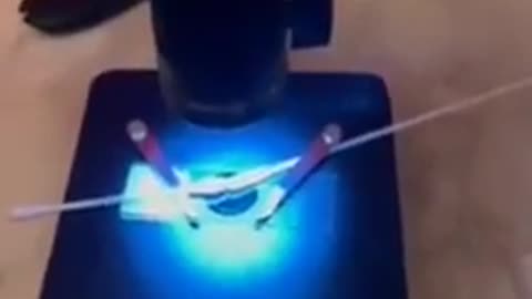 Inoculação via PCR