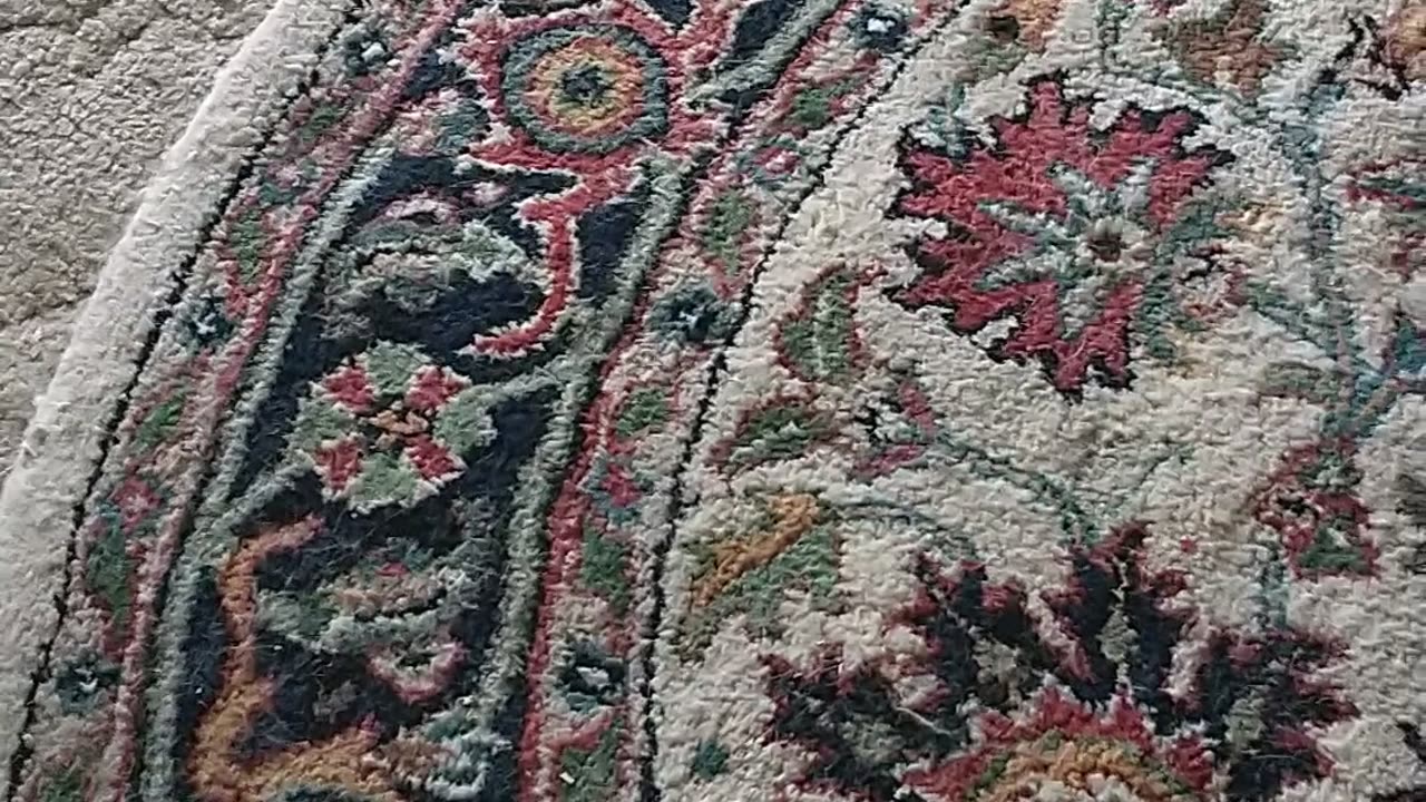 Food prices 🚗😱