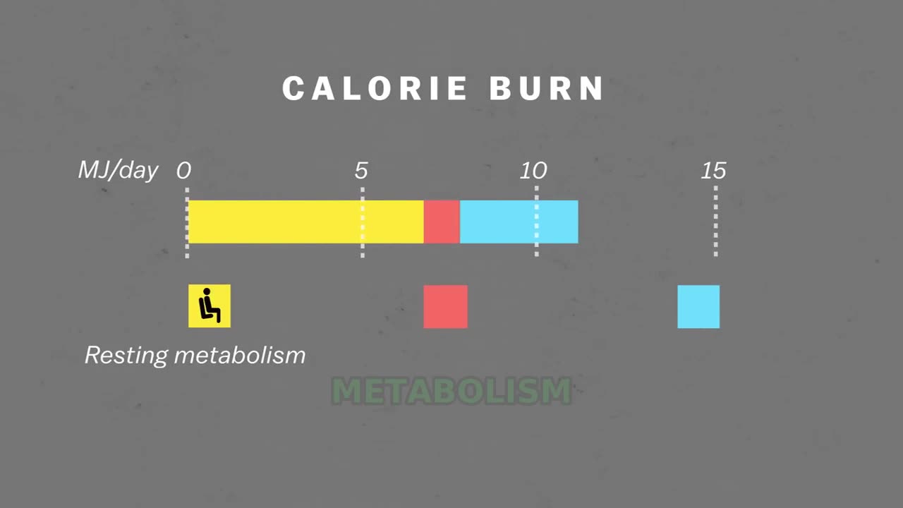 weight loss vs exercise