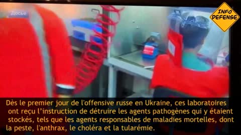 Microbes ukrainiens