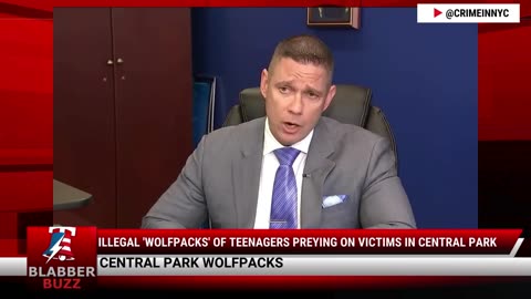 Illegal 'Wolfpacks' Of Teenagers Preying On Victims In Central Park