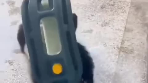 Full funny
