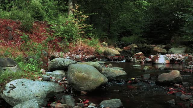 #Relax Beautufil Nature Music, #Nature music