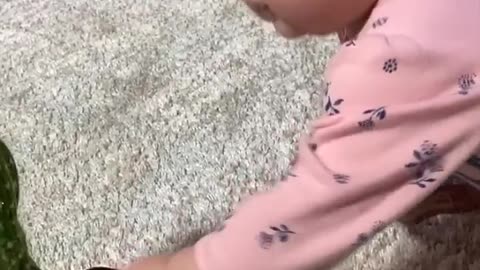 Beby fani video
