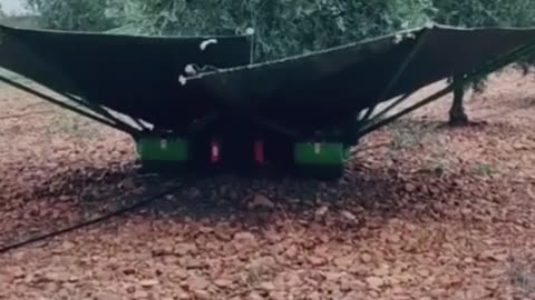 Fruit Collector machine