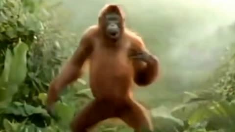 Catechismo scientifico per macachi convinti (2022)