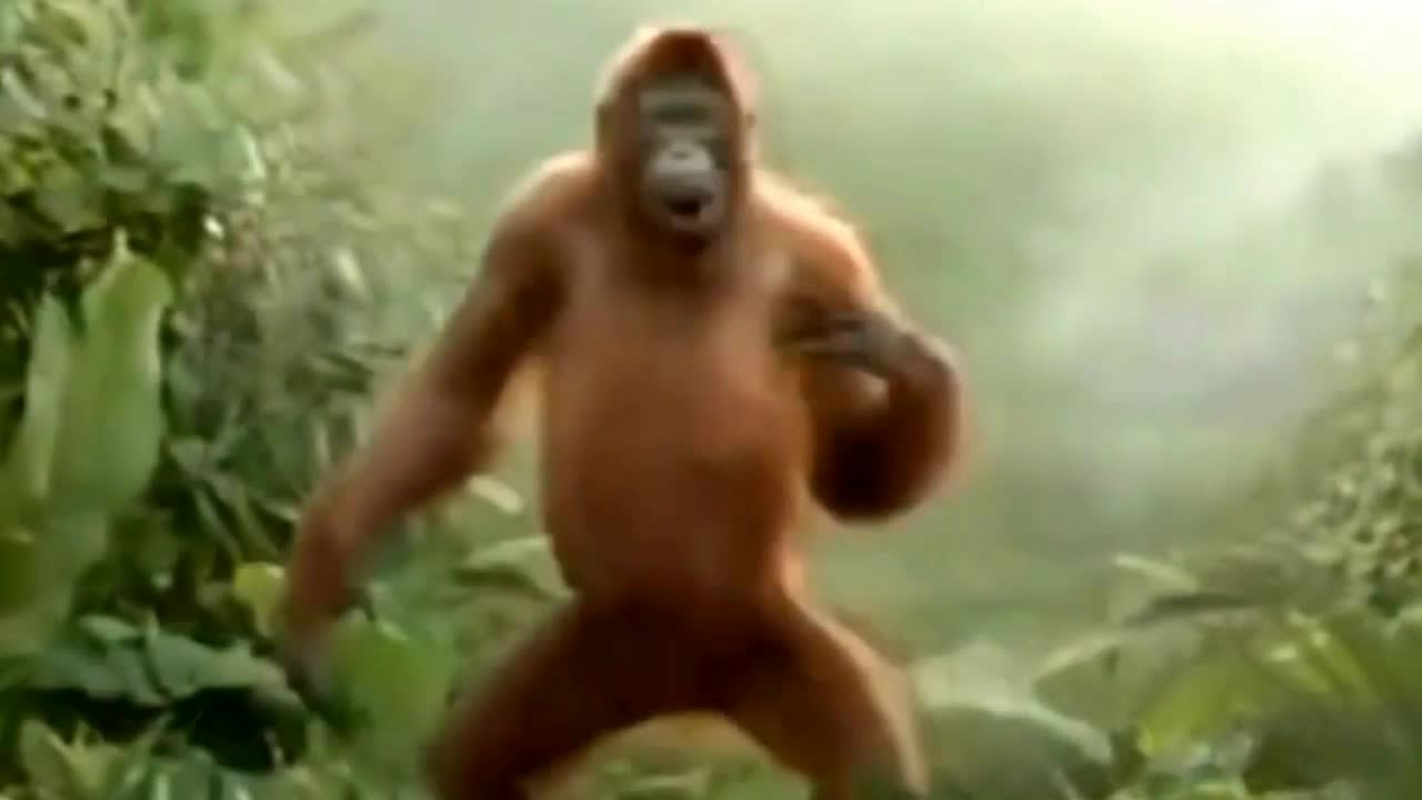 Catechismo scientifico per macachi convinti (2022)