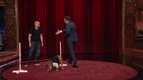 What's Up Dog_ Limbo, Walking Upright and Balancing Oreos _ The Tonight Show Sta