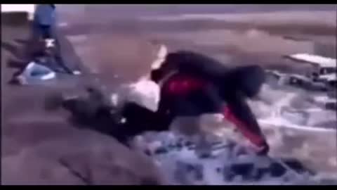 Funny videos
