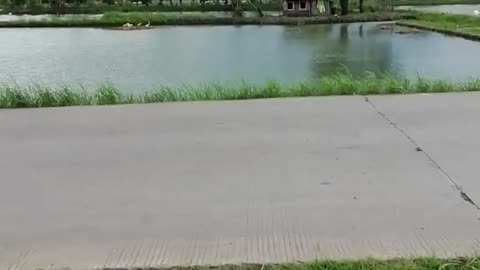 River view in amerta village