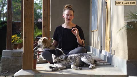 These things you should NEVER feed your dogs (English)