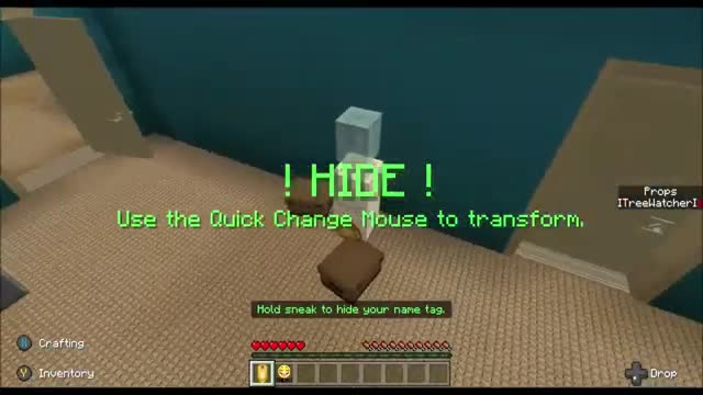 Minecraft.. Hide & Seek... (Review)