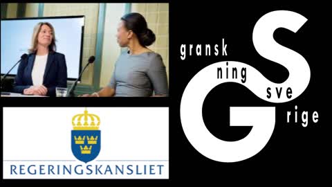 Seriöst Sverige! Vad är detta för ankdamm_