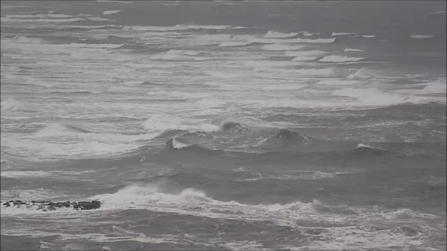 the seas