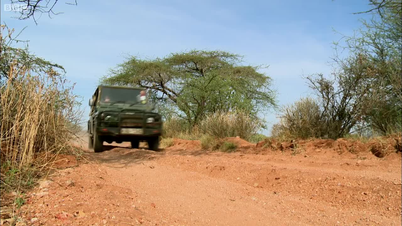 Those Who Risk Their Lives to Protect Elephants | This Wild Life | BBC Earth