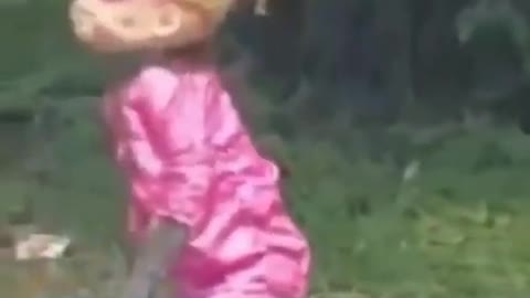 I thought I had seen everything in my life, look at this monkey