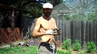 GROW YOUR OWN ORGANIC BIODYNAMIC FOOD - May 4th 2013