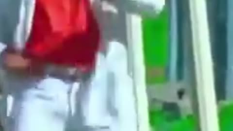 funny videos cartoon,