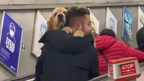 When he is nervous to go up the escalator tag someone who needs to see this