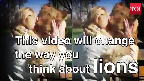Lion Reaction when Reunited with their Former Care taker