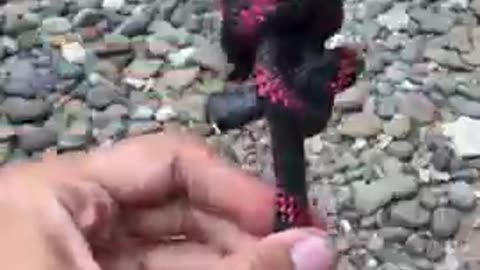 Amazing Knot in our daily life!
