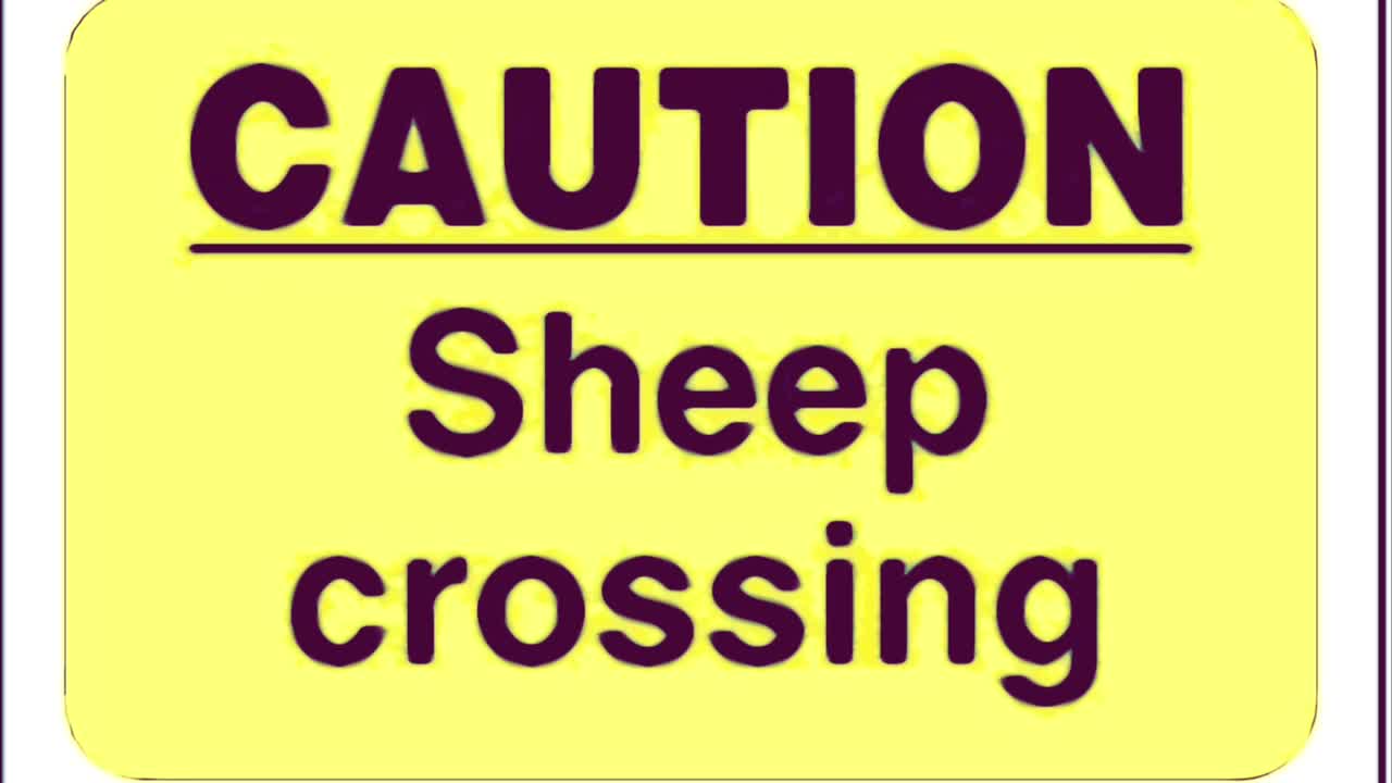 Sheep Crossing featuring Owen Shroyer