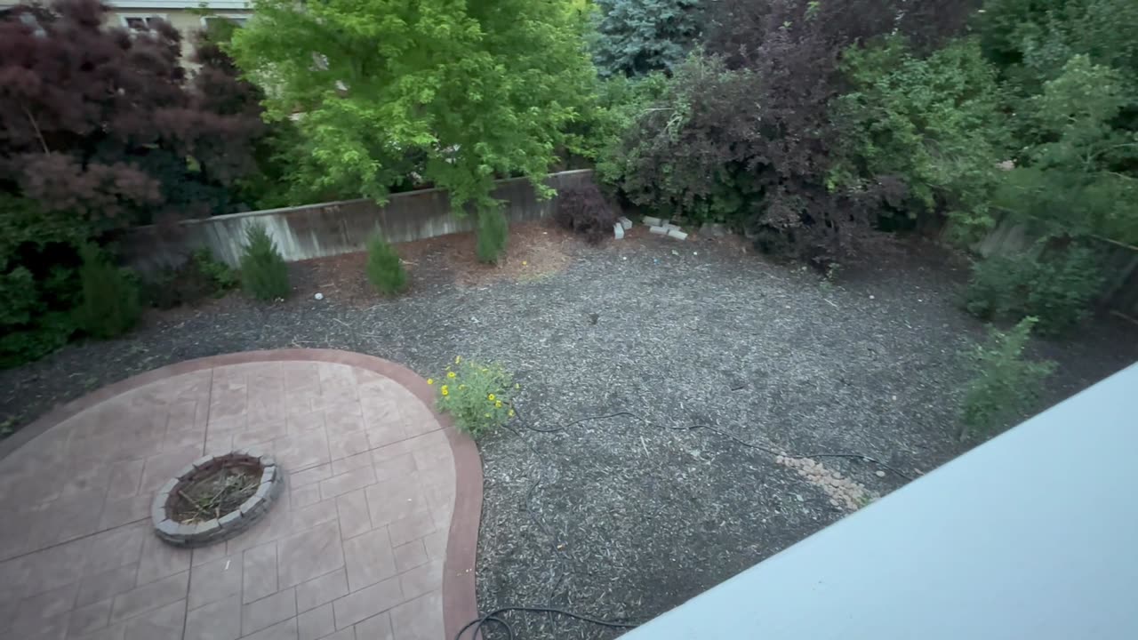 Cloudy outside and hanging out in the upper deck backyard