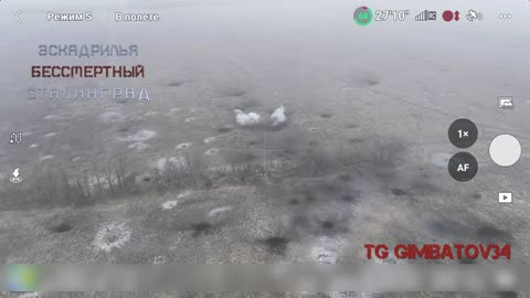 Precise Artillery Strike on Retreating AFU on the Northern Flank of Novomikhailivka